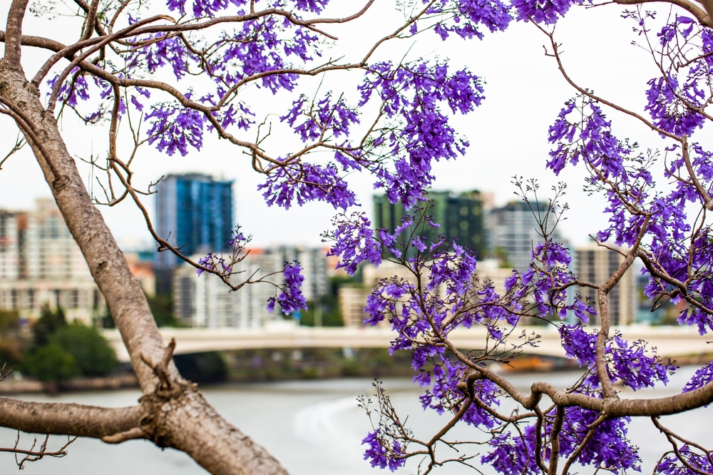 Brisbane, Australia