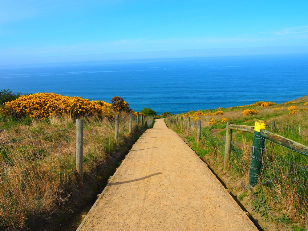 Dunedin, New Zealand