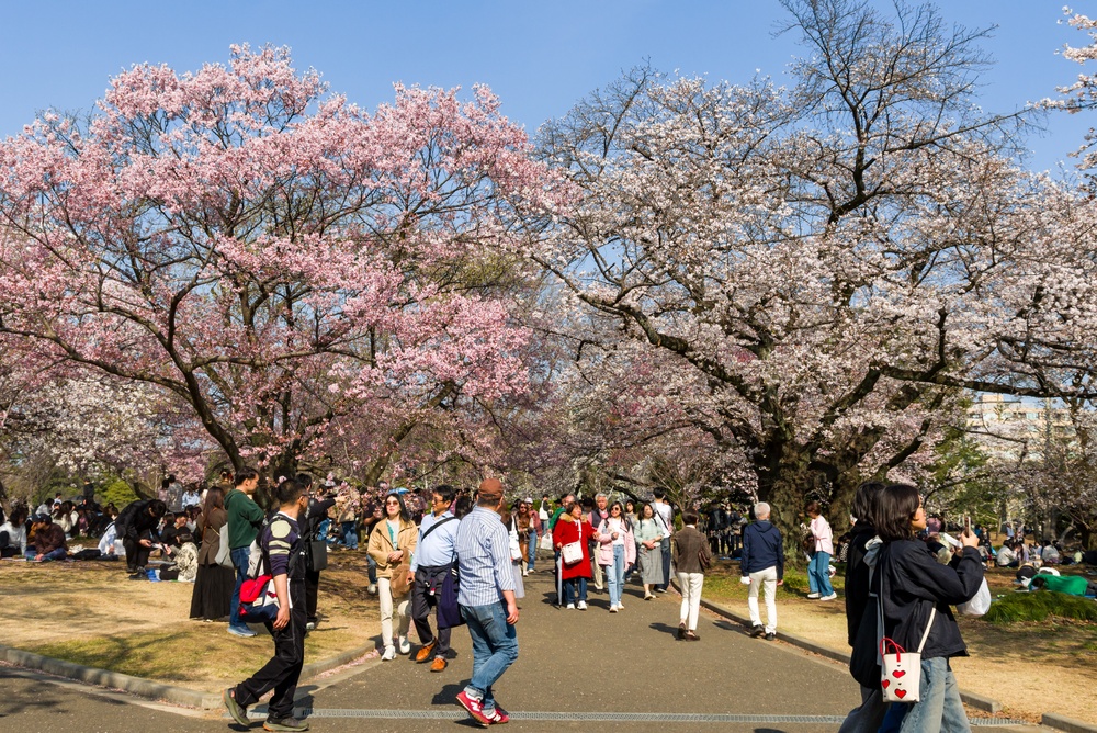 Tokyo, Japan