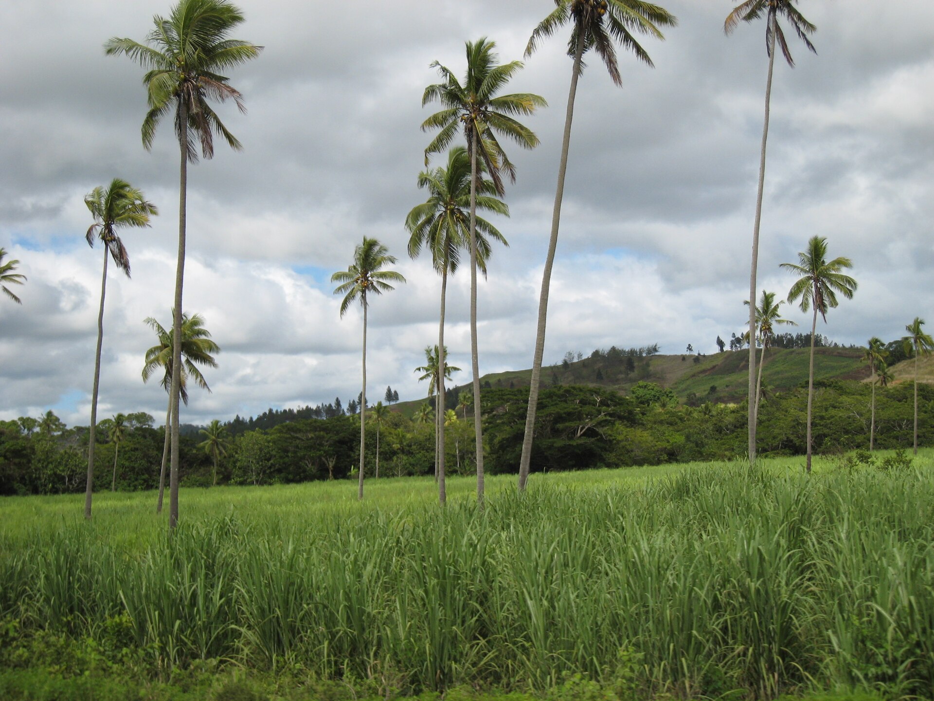 Labasa, Fiji