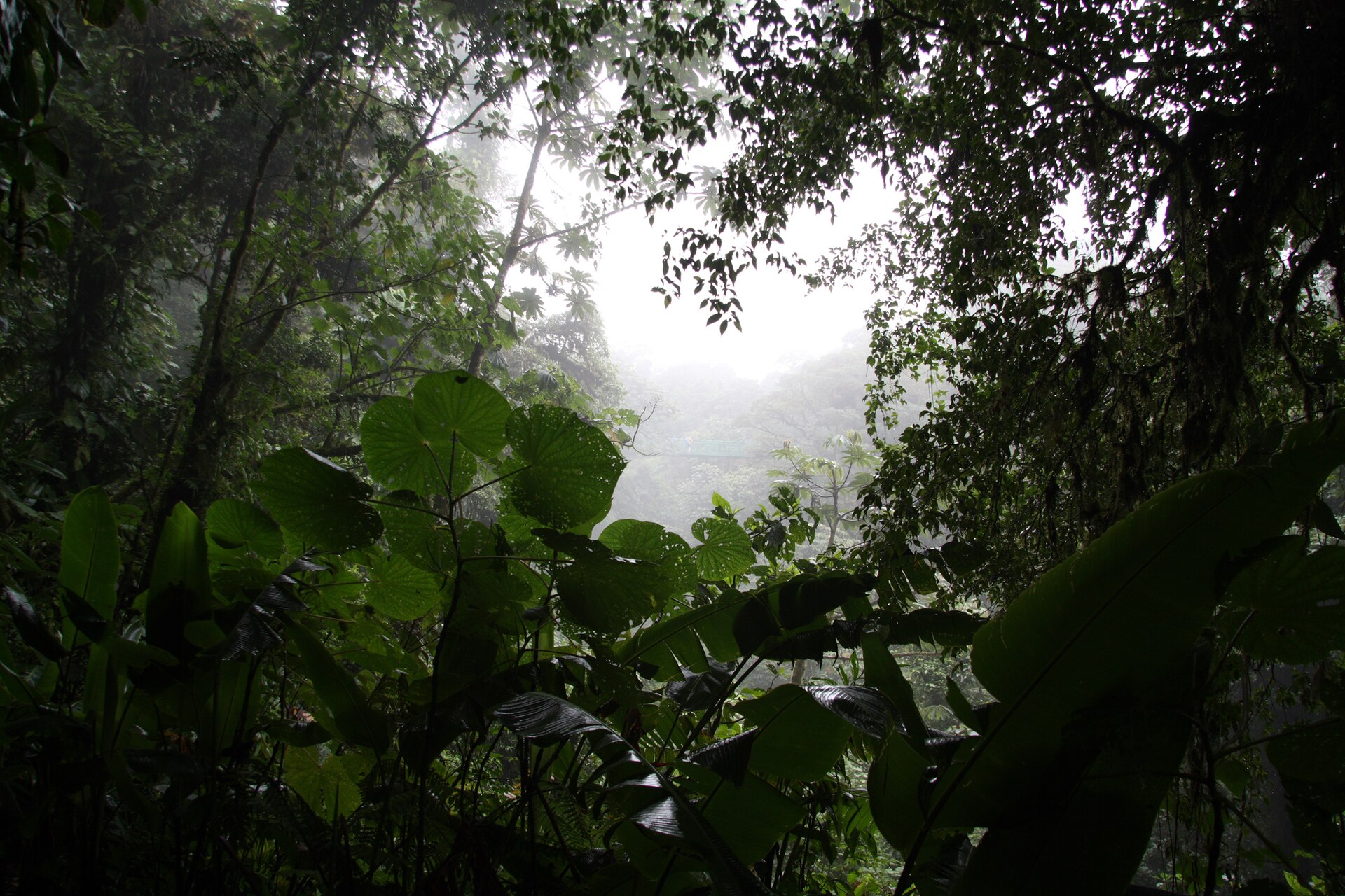 Monteverde, Costa Rica