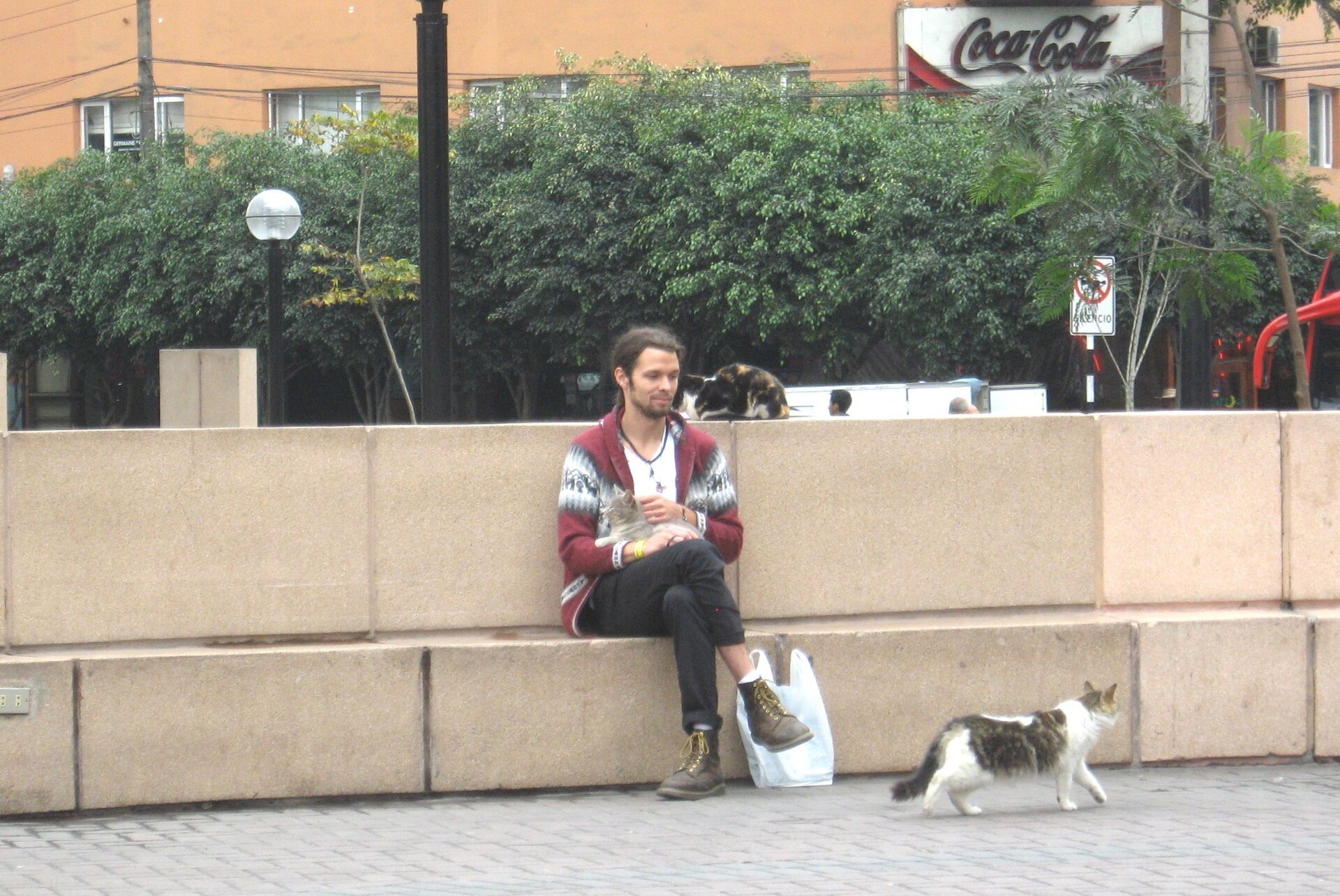 A man sitting on a bench in Parque Kennedy in Miraflores, Lima, as one of the park's cats walks past