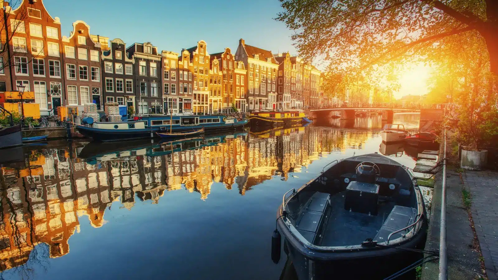 Join Your Partner in the Netherlands