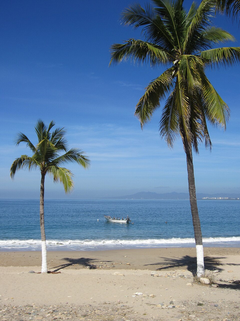Move to Mexico as a Remote Worker